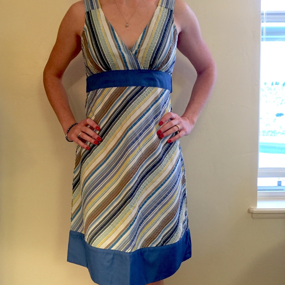 Striped Summer Patagonia Dress (Like New!)